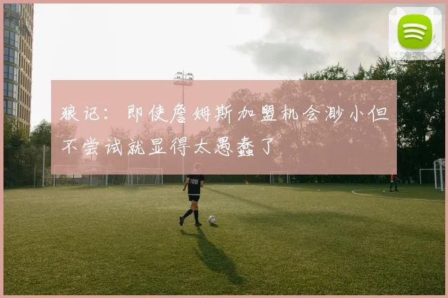 狼记：即使詹姆斯加盟机会渺小但不尝试就显得太愚蠢了